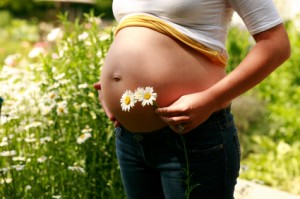 erbe medicinali da evitare in gravidanza
