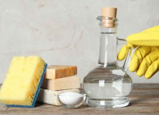 Come usare l’aceto in casa, i suoi tanti usi. Aceto