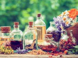 Preparare una tintura madre in pochi minuti tintura madre