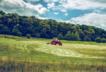 L’agricoltura intensiva contro quella familiare Agricolutra intensiva