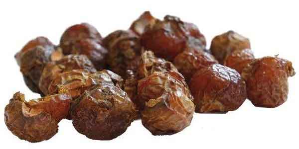 Le noci del sapone, come utilizzarle Noci del sapone