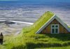 Tetti verdi sulle case in Norvegia Tetti verdi Norvegia