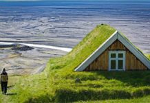Tetti verdi sulle case in Norvegia Tetti verdi Norvegia