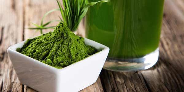 Spirulina e controindicazioni per la tiroide Spirulina controindicazioni tiroide