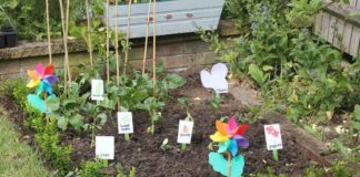 Come fare un orto biodinamico: tutti i dettagli utili Orto biodinamico