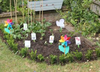 Come fare un orto biodinamico: tutti i dettagli utili Orto biodinamico