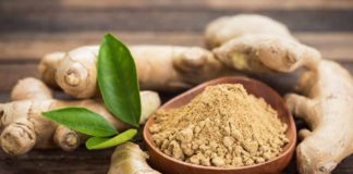 Quali sono le proprietà dello zenzero? Zenzero