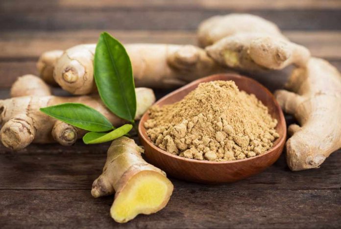zenzero-benefici-controindicazioni Zenzero