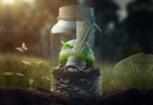 Come risparmiare denaro attraverso pratiche sostenibili vaso vetro risparmiare sostenibile