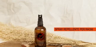 Ragni addio: spray repellenti naturali da provare subito bomboletta spray
