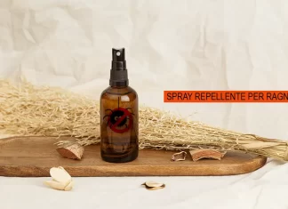Ragni addio: spray repellenti naturali da provare subito bomboletta spray