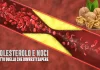 Colesterolo e Noci: Quello che Nessuno Ti Dice (ma Dovresti Sapere) Colesterolo noci