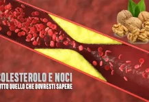 Colesterolo e Noci: Quello che Nessuno Ti Dice (ma Dovresti Sapere) Colesterolo noci