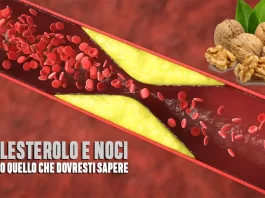 Colesterolo e Noci: Quello che Nessuno Ti Dice (ma Dovresti Sapere) Colesterolo noci